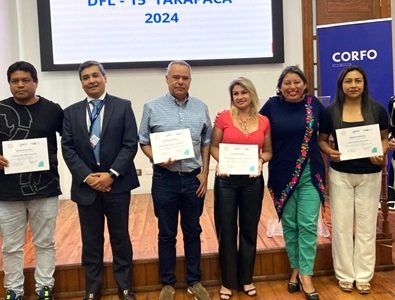 Llaman a postular a concurso de bonificación a la inversión en zonas extremas, DFL-15, que contempla subsidio de 20% del proyecto presentado