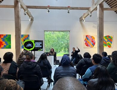 Desde Tarapacá a Chiloé: Barquito de Papel comparte su metodología creativa e inclusiva para jóvenes con síndrome de Down