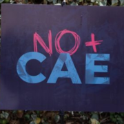 Expertos internacionales analizan proyecto de ley que pone fin al CAE y propone nuevo instrumento de financiamiento estudiantil de la Educación Superior