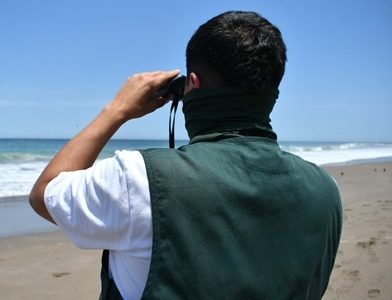 Impulsan plataforma para conservación de Ecosistemas Marinos. Busca promover modelo de desarrollo basado en evidencia científica