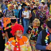 Durante una semana, comunidad y visitantes de Pica y Matilla revivieron los tradicionales y coloridos carnavales de verano