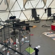 Violento asalto y retención forzosa de gestores culturales en Pozo Almonte: Tres detenidos y búsqueda de más involucrados