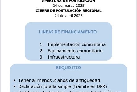 Abre convocatoria para postular al Fondo Social 2025 «Presidente de la República», orientado a organizaciones pública y privadas sin fines de lucro