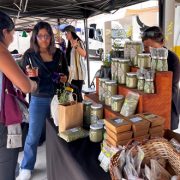 Usuarias de Indap Tarapacá brillaron con Mercado Campesino, en actividad realizada en el Día Internacional de la Mujer