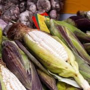 Pequeños productores participaron en octava versión de Feria de Camiña, instancia que rescata los cultivos ancestrales del choclo y el ajo