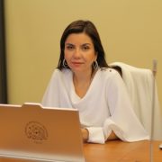 Diputada Danisa Astudillo (PS) presenta proyecto para endurecer penas por maltrato infantil, trabajos forzados y trata de personas