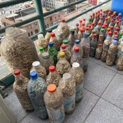 Lanzan campaña “Sin colilla, sin huella” en Tarapacá. Para sumarse hay que recolectarlas en botellas plásticas para reciclaje