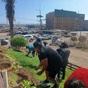 CONAF Tarapacá celebró 55 años con forestación participativa. Por ley pasará a llamarse Servicio Nacional Forestal, SERNAFOR.