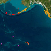 El océano se mueve: Lo que debes saber sobre el tsunami que llegaría a las costas chilenas,