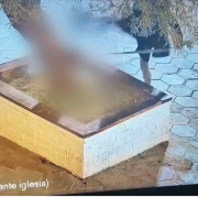 Formalizan a hombre chileno que golpeó a su perro en explanada de La Tirana, identificado en las cámaras de seguridad municipal