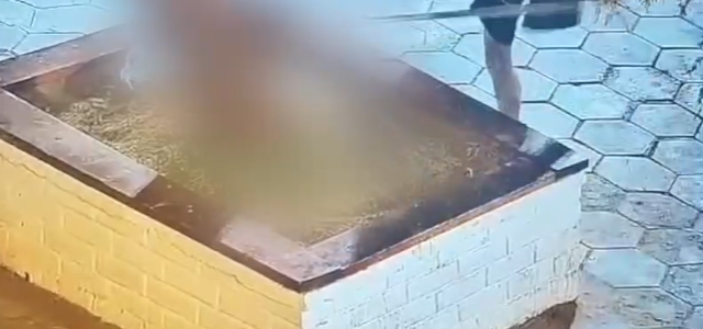 Formalizan a hombre chileno que golpeó a su perro en explanada de La Tirana, identificado en las cámaras de seguridad municipal