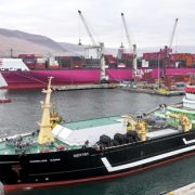 Puerto de Iquique recibe buque factoría en operación de actores mundiales relevantes, con capacidad de carga que duplica las embarcaciones habituales