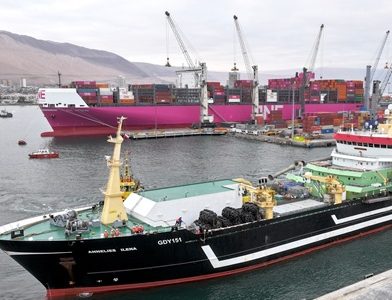Puerto de Iquique recibe buque factoría en operación de actores mundiales relevantes, con capacidad de carga que duplica las embarcaciones habituales