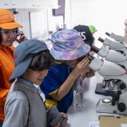 Tarapacá convoca al Festival de las Ciencias 2025, “Con ciencia contra la desinformación”, que se desplegará por Iquique y Alto Hospicio