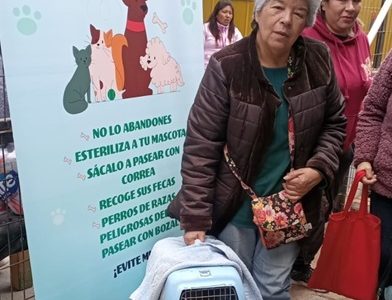 Vacunación contra la Rabia para mascotas, realizará la Seremi de Salud en Alto Hospicio,  este viernes 26 en Plaza de Armas de la comuna