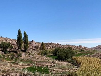 Comunidad Indígena Aymara de Chusmiza-Usmagama, califica de ilegales que 27 concesiones mineras,  por lo que exigen su anulación