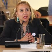 Candidata a diputada (F.A) Noemí Salinas: “Hay que avanzar en cuotas que promuevan la empleabilidad local en la minería”