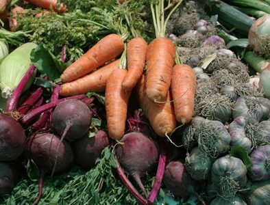 Consejo de Agencia Chilena ACHIPIA aprueba Política Nacional de Inocuidad y Calidad Alimentaria 2026–2036