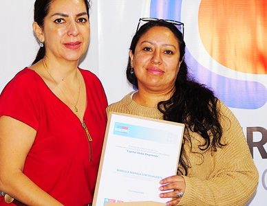35 mujeres de Tarapacá inician ideas de negocio para el fortalecimiento de sus iniciativas, mediante programa Programa Abeja Emprende de SERCOTEC y SERNAMEG