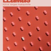 Arte y comunidad en torno al VIH: “Soñar en Llamas” inicia circulación en Iquique con obras que cruzan arte textil, escultura e impresión 3D