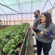 Bienes Nacionales visita proyectos productivos en la provincia El Tamarugal para conocer trabajo que empresa realiza con ganaderos y agricultores