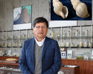 Bautizan nueva especie marina en honor a investigador de la UNAP, Guillermo Guzmán Gómez. Fue descubierta en aguas de Magallanes