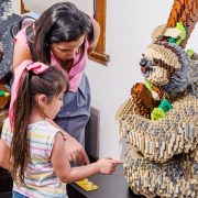Aún es tiempo de visitar la “Expo LEGO Iquique” en Sala de Arte Collahuasi,  que finaliza este martes 28 de abril