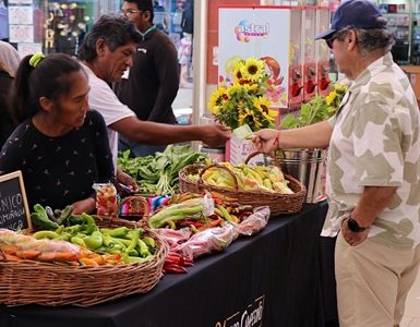 Mercado Campesino de INDAP Tarapacá en Mall Zofri que reúne a 14 pequeños productores de la Agricultura Familiar