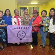 Mujeres indígenas convocan a conversatorio sobre memoria, sus experiencias y sus luchan. Convocan ANAMURI y Las Bartolina de Tarapacá