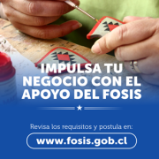FOSIS abre postulaciones  a programas que  incluyen capacitación, acompañamiento y financiamiento para iniciar o fortalecer negocios.