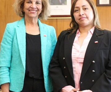 Ingeniera comercial Denisse Barahona Vargas, con diplomados en Logística y Equidad de Géneros, sume como Secretaria Regional Ministerial de Minería