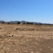 Tribunal Ambiental acoge reclamación de empresa eléctrica y descarta el término anticipado a evaluación de impacto ambiental