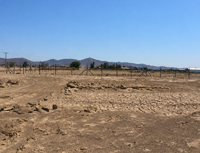 Tribunal Ambiental acoge reclamación de empresa eléctrica y descarta el término anticipado a evaluación de impacto ambiental