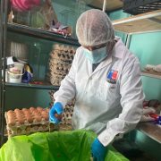 Medidas de prevención para evitar enfermedades trasmitidas por consumo de alimentos. 58 personas en Tarapacá tuvieron Salmonelosis este 2026