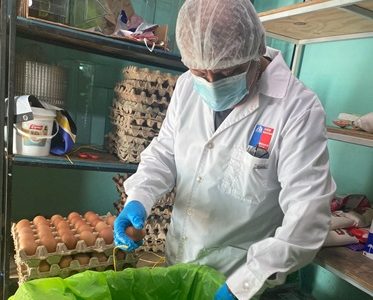 Medidas de prevención para evitar enfermedades trasmitidas por consumo de alimentos. 58 personas en Tarapacá tuvieron Salmonelosis este 2026