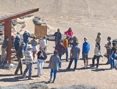 Científicos internacionales destacan proyecto municipal de conservación ambiental en Alto Hospicio