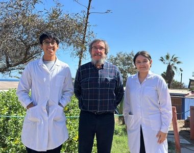 Aporte a la comunidad científica: Ácaro encontrado en Iquique podría convertirse en un aliado global contra las plagas agrícolas