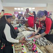Tarapacá fue sede de encuentro nacional de textilería y teñido natural. Participaron artesanos y cultores de seis regiones del país