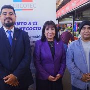 SERCOTEC Tarapacá lanzó fondo para fortalecer y modernizar las ferias libres de la región