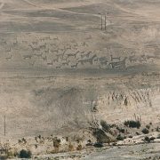 El arte rupestre de Tarapacá revive en la era digital: nace el proyecto «maruan.cl», que funcionará de forma interactiva