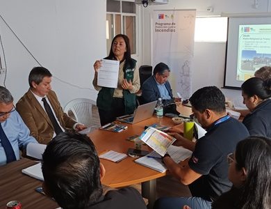 CONAF Tarapacá convocó a mesa técnica para fortalecer coordinación interinstitucional para prevenir incendios forestales
