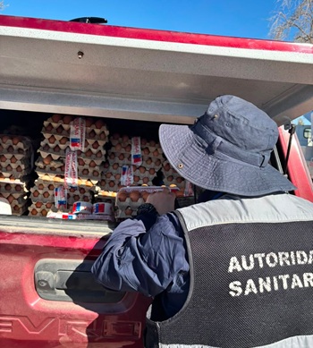Ante aumento de brotes de Salmonella, SEREMI de Salud refuerza prohibición del uso de huevos crudos