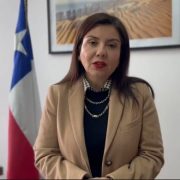 Senadora Danisa Astudillo pide acelerar la tramitación del proyecto que busca declarar Feriado de San Lorenzo