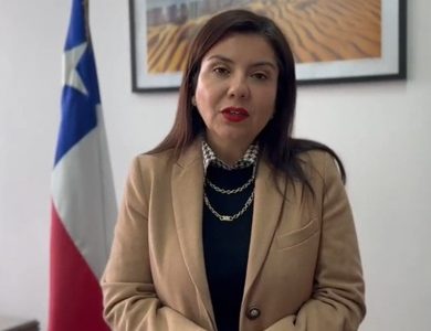 Senadora Danisa Astudillo pide acelerar la tramitación del proyecto que busca declarar Feriado de San Lorenzo