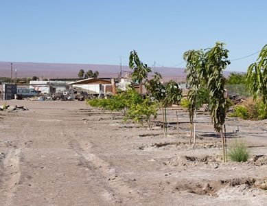 El seminario binacional de LabAncestral,  “Rescate de Prácticas Ancestrales”, convertirá el territorio y el maritorio en aula