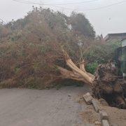 Despliegan personal de emergencia para atender daños provocados por temporal de viento en Iquique, Alto Hospicio y comunas rurales